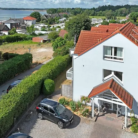 Seepferdchen Freetied Daire Sierksdorf