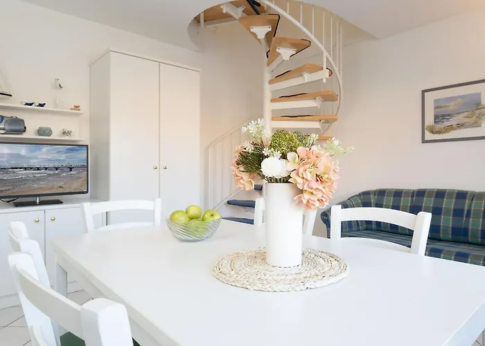 Seepferdchen Freetied 希尔克道夫